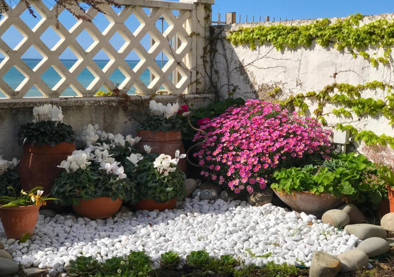 Il Giardino Sul Mare B&B Riva Ligure Bagian luar foto